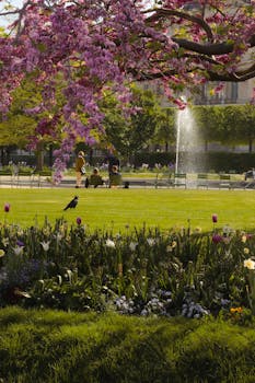 Experience the stunning spring bloom in a Paris park, featuring vibrant flowers and lush greenery.